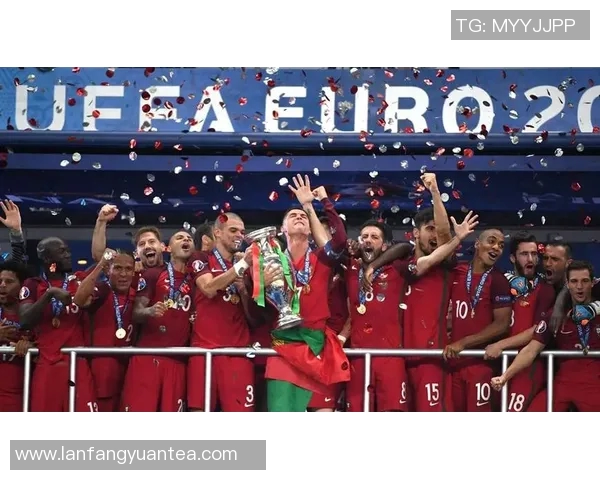 欧洲杯荣获月度最佳球员,实至名归 欧洲杯荣获月度最佳球员,实至名归