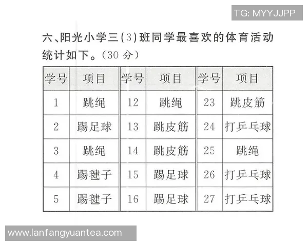 体育技术统计深度解读