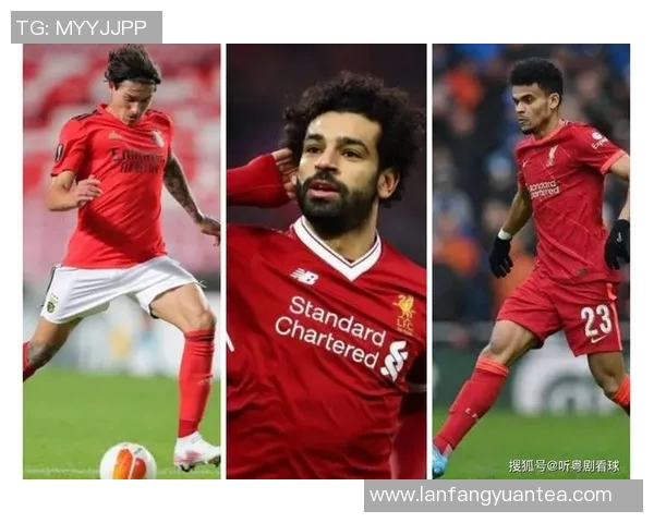 五年飞跃英超数据全面进化展现新面貌与潜力